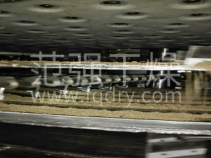 范強盤(pán)式干燥機的特點(diǎn)及應用